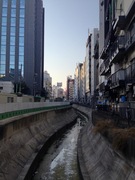 渋谷の川