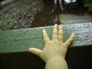 赤ちゃんの手と雨粒