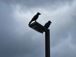鳥渡る空防空の監視塔