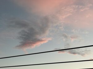 冥界へ翔ぶ鳥めきし秋の雲