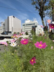 ランナーに送る声援爽やかに
