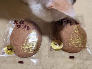 部屋ぬくし猫も手を出すおやつ時