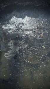 氷花夜の女王の胸元に