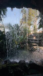 凍解けの裏見の滝に見る此岸