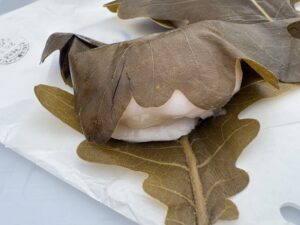 かしわ餅興味を示す猫ゐるや