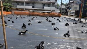 行水の好きな鴉や一斉に