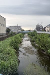願ひ終へ七夕竹を流しけ
