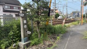 のんびりと秋の追分かち歩き
