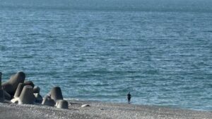秋の海名残の波を打ち返し